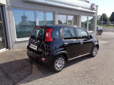 FIAT-PANDA-259034_4.JPG 