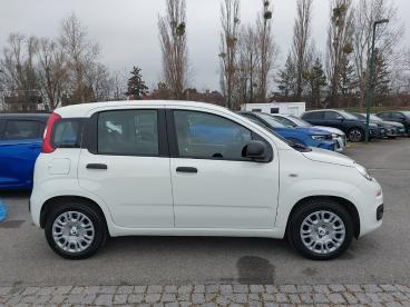 FIAT-PANDA-260132_4.JPG 
