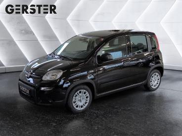 FIAT-PANDA-261577_1.JPG 