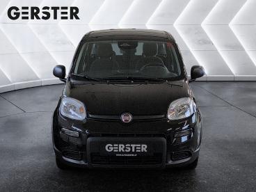 FIAT-PANDA-261577_2.JPG 
