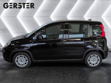 FIAT-PANDA-261577_3.JPG 