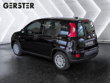 FIAT-PANDA-261577_4.JPG 