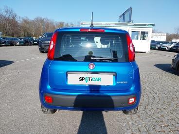 FIAT-PANDA-262507_5.JPG 