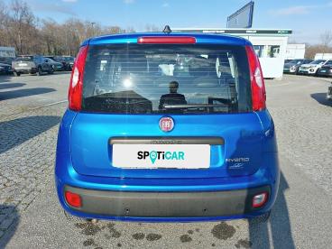 FIAT-PANDA-262733_5.JPG 