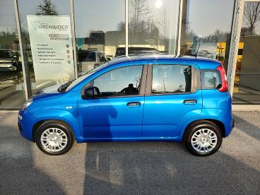 FIAT-PANDA-262896_3.JPG 