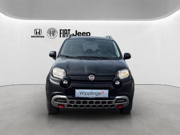 FIAT-PANDA-263028_2.JPG 