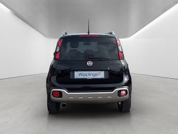FIAT-PANDA-263028_5.JPG 