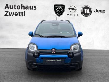 FIAT-PANDA-263337_2.JPG 