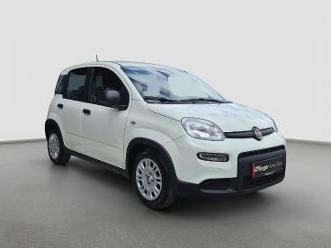 FIAT-PANDA-267693_1.JPG 