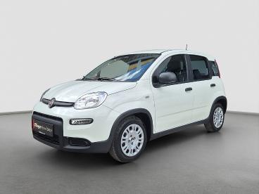 FIAT-PANDA-267693_2.JPG 
