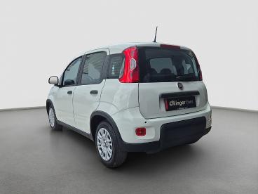 FIAT-PANDA-267693_3.JPG 