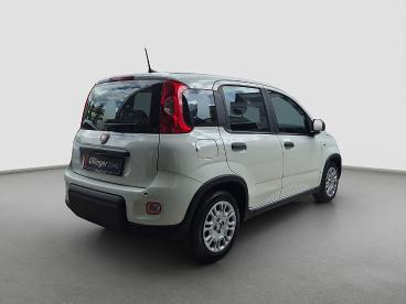 FIAT-PANDA-267693_4.JPG 