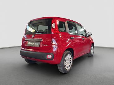 FIAT-PANDA-268769_3.JPG 