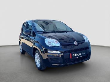 FIAT-PANDA-268773_1.JPG 
