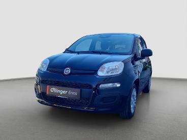 FIAT-PANDA-268773_2.JPG 