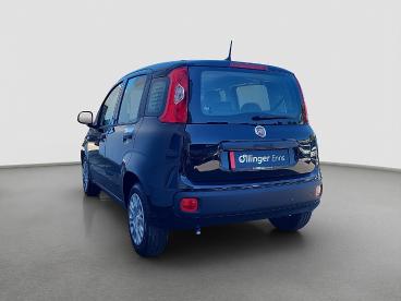 FIAT-PANDA-268773_3.JPG 