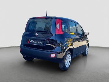 FIAT-PANDA-268773_4.JPG 