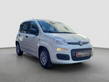 FIAT-PANDA-269683_1.JPG 