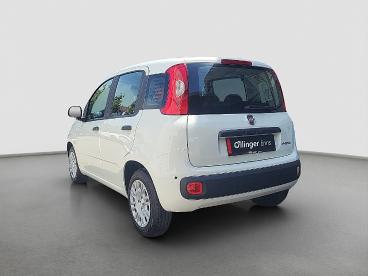 FIAT-PANDA-269683_2.JPG 