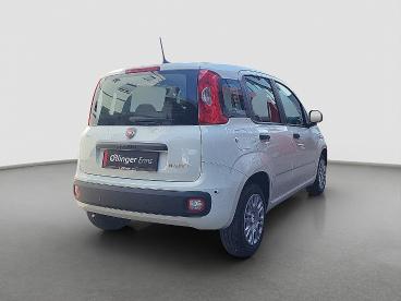 FIAT-PANDA-269683_3.JPG 