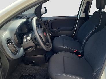 FIAT-PANDA-269683_5.JPG 