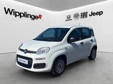 FIAT-PANDA-270460_1.JPG 