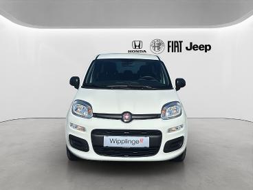 FIAT-PANDA-270460_2.JPG 