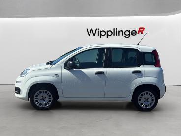 FIAT-PANDA-270460_3.JPG 