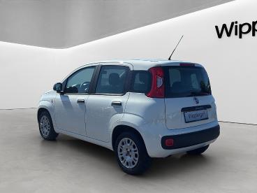 FIAT-PANDA-270460_4.JPG 