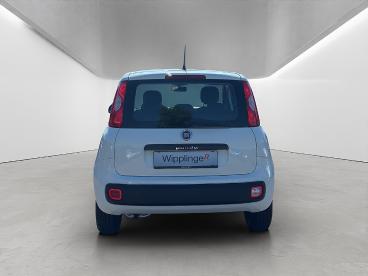 FIAT-PANDA-270460_5.JPG 