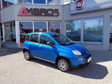 FIAT-PANDA-276374_1.JPG 
