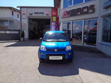 FIAT-PANDA-276374_3.JPG 
