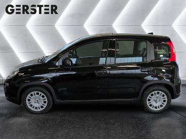 FIAT-PANDA-277045_3.JPG 