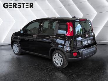 FIAT-PANDA-277045_4.JPG 