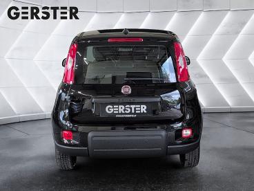 FIAT-PANDA-277045_5.JPG 