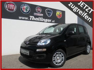 FIAT-PANDINA-273935_1.JPG 