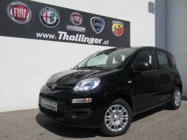 FIAT-PANDINA-273935_2.JPG 