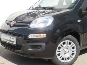 FIAT-PANDINA-273935_4.JPG 