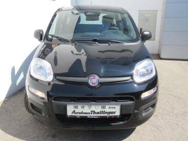 FIAT-PANDINA-273935_5.JPG 