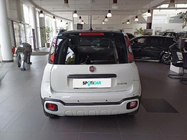 FIAT-PANDINA-277772_5.JPG 