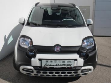 FIAT-PANDINA-278373_4.JPG 