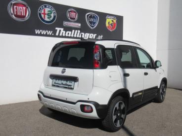 FIAT-PANDINA-278373_5.JPG 