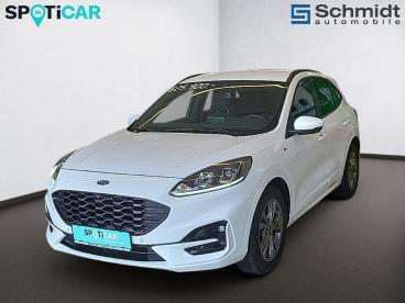 FORD-KUGA-272336_1.JPG 