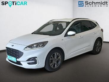 FORD-KUGA-272336_2.JPG 