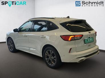 FORD-KUGA-272336_3.JPG 