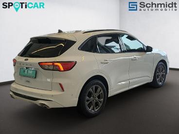 FORD-KUGA-272336_4.JPG 