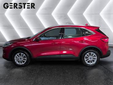 FORD-KUGA-277079_3.JPG 