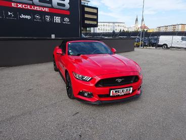 FORD-MUSTANG-265172_1.JPG 