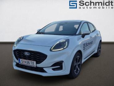 FORD-PUMA-277113_1.JPG 