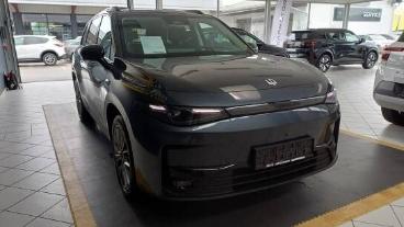 LEAPMOTOR-C10-271538_4.JPG 